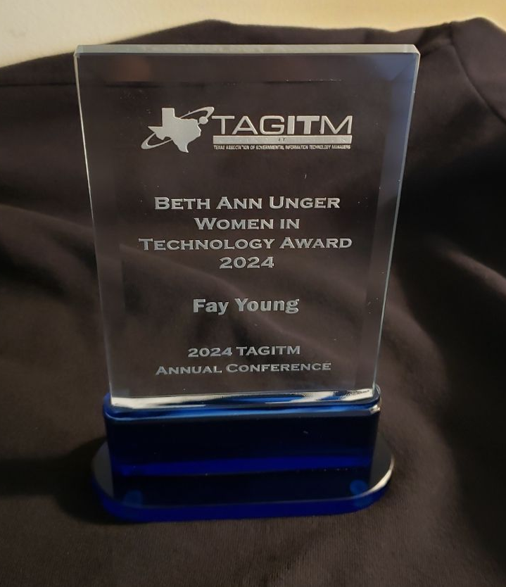 TAGITM Women in IT Award